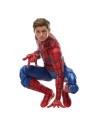 Spider-Man: No Way Home Marvel Legends 15 cm  Hasbro
