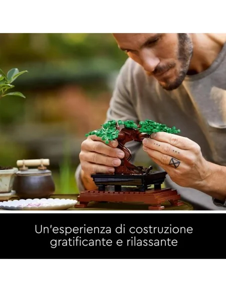 10281 Albero Bonsai