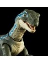 Jurassic Park Hammond Collection Action Figure Velociraptor Blue  Mattel