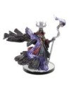 D&D Icons of the Realms pre-painted Miniatures Tomb of Annihilation - Complete Set  WizKids
