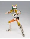 Saint Seiya Saint Cloth Myth Steel Saint Landcloth Daichi (Revival Version) 16 cm - 4 - 