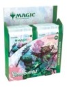 Magic the Gathering Bloomburrow Collector Booster Display (12) german  Wizards of the Coast
