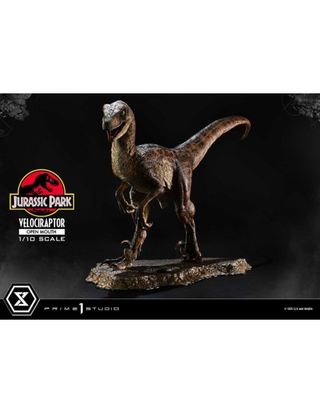 Jurassic Park Prime Collectibles Statue 1/10 Velociraptor Open Mouth 19 cm  Prime 1 Studio