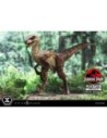 Jurassic Park Prime Collectibles Statue 1/10 Velociraptor Open Mouth 19 cm  Prime 1 Studio