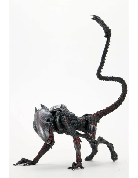 Aliens Action Figure Night Cougar Alien Kenner Tribute 23 cm - 1 - 