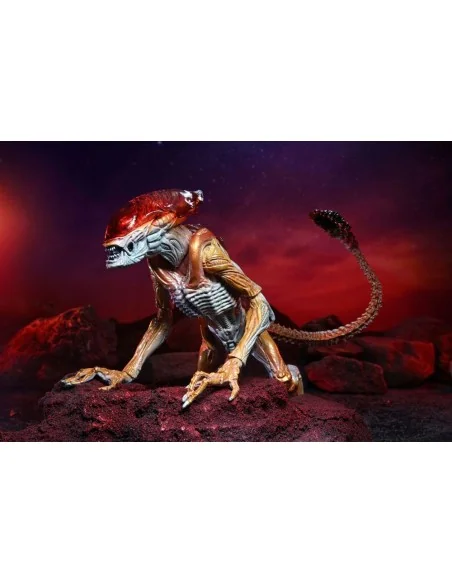 Aliens Action Figure Panther Alien Kenner Tribute 23 cm - 5 - 