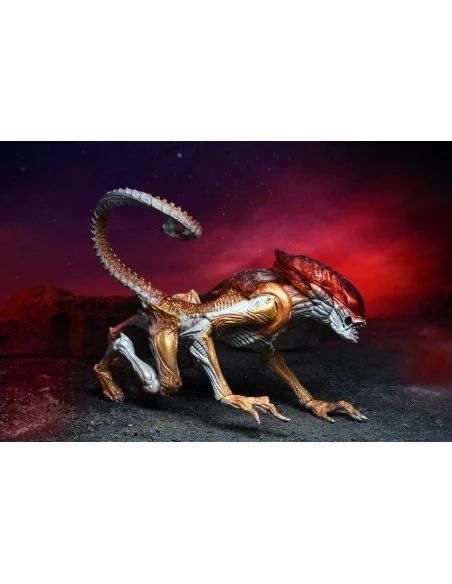 Aliens Action Figure Panther Alien Kenner Tribute 23 cm - 10 - 