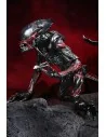 Aliens Action Figure Night Cougar Alien Kenner Tribute 23 cm - 10 - 